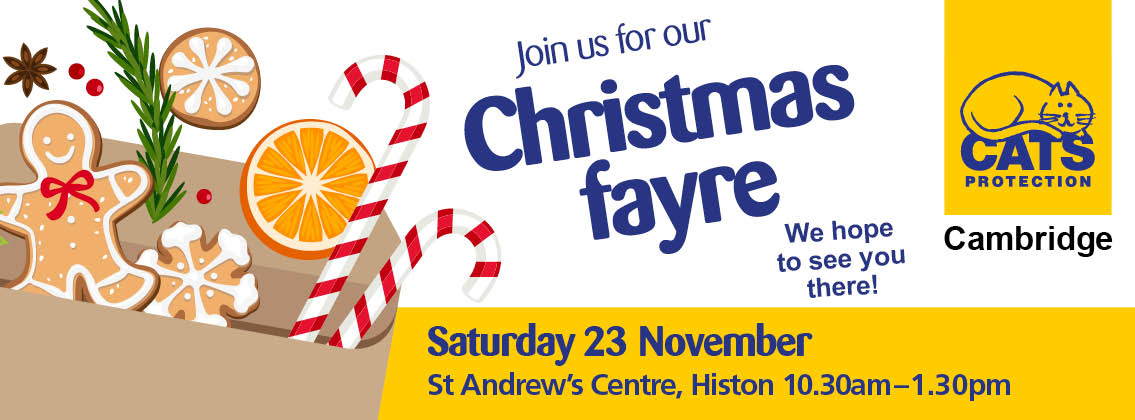 Cambridge Cats Protection Christmas Fayre